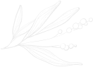 back img 1